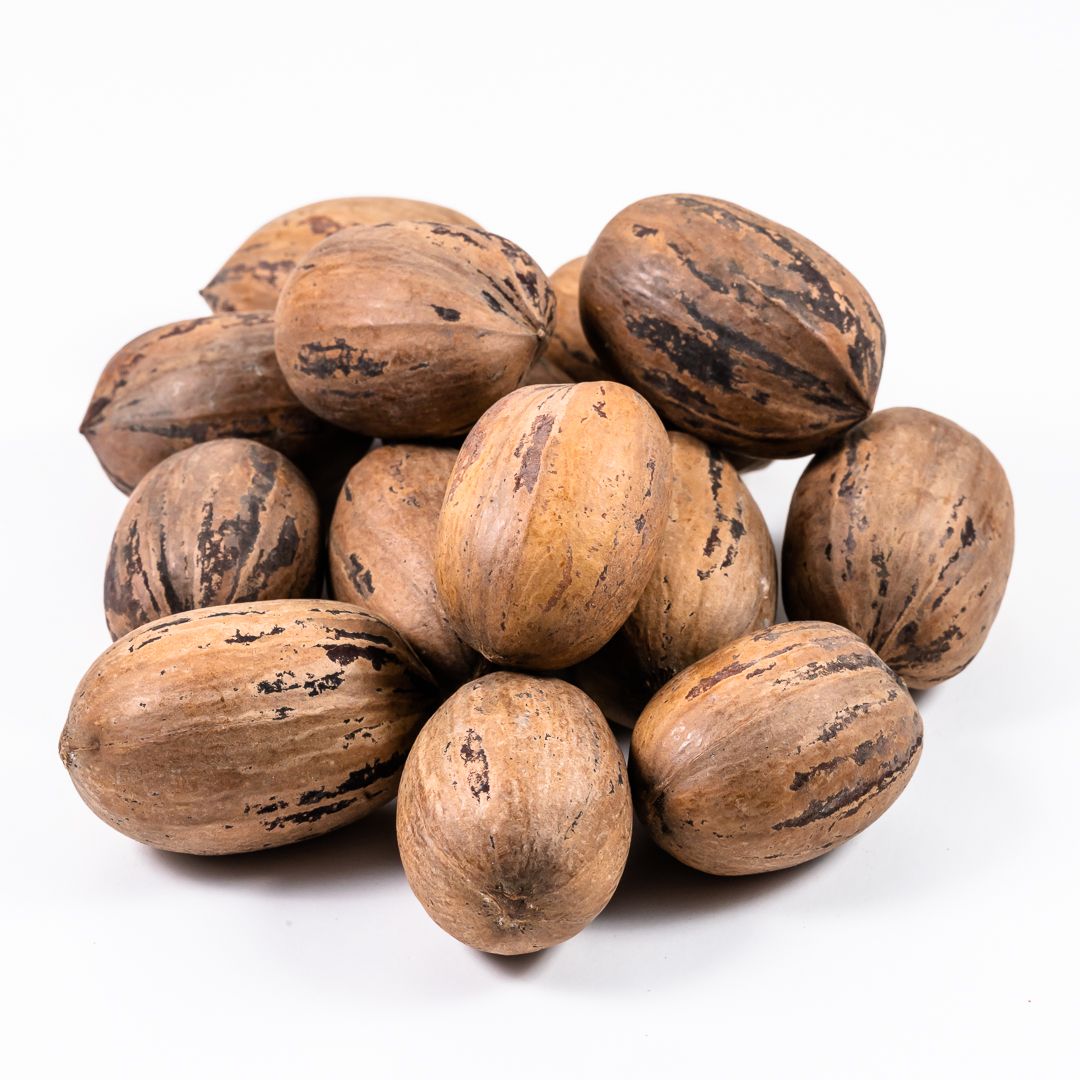 Noci pecan in guscio